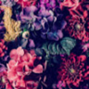 Meet your Posher, Sabryna